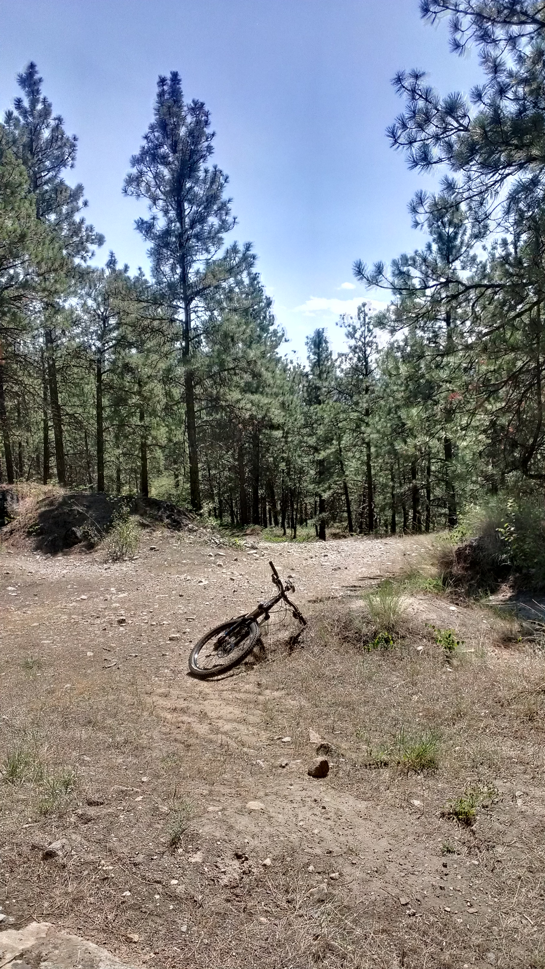 IMAG0128.jpg