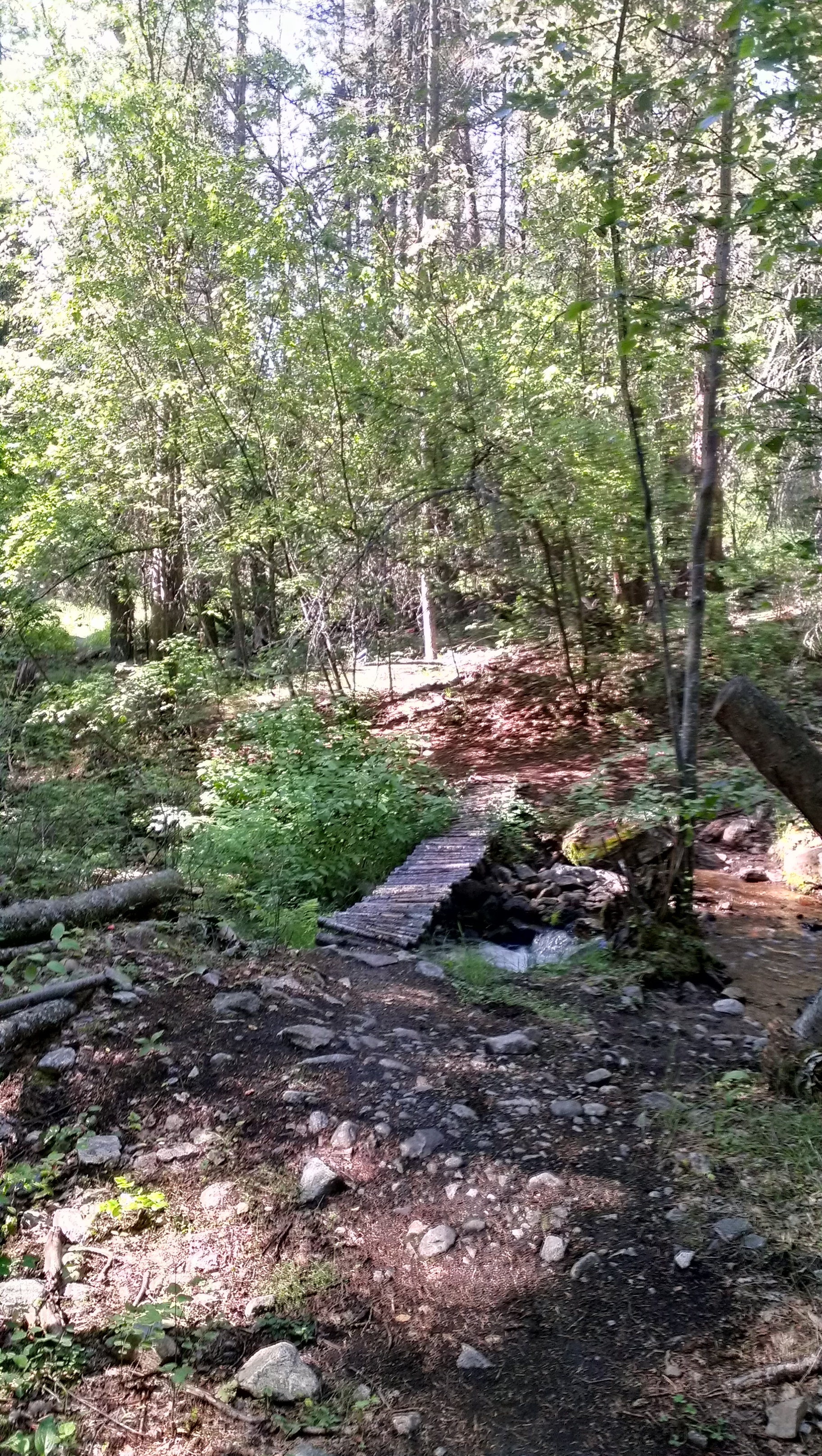 IMAG0140.jpg