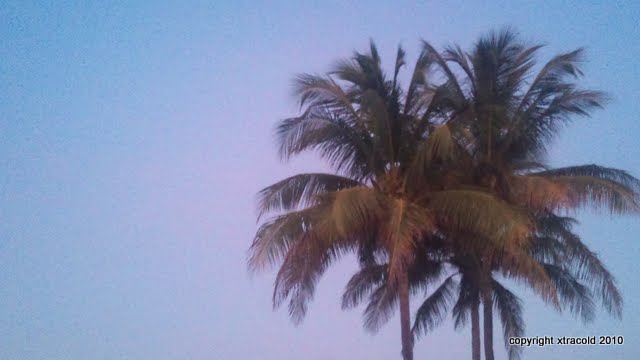DSC_1711.jpg