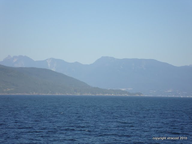 dsc00096.jpg