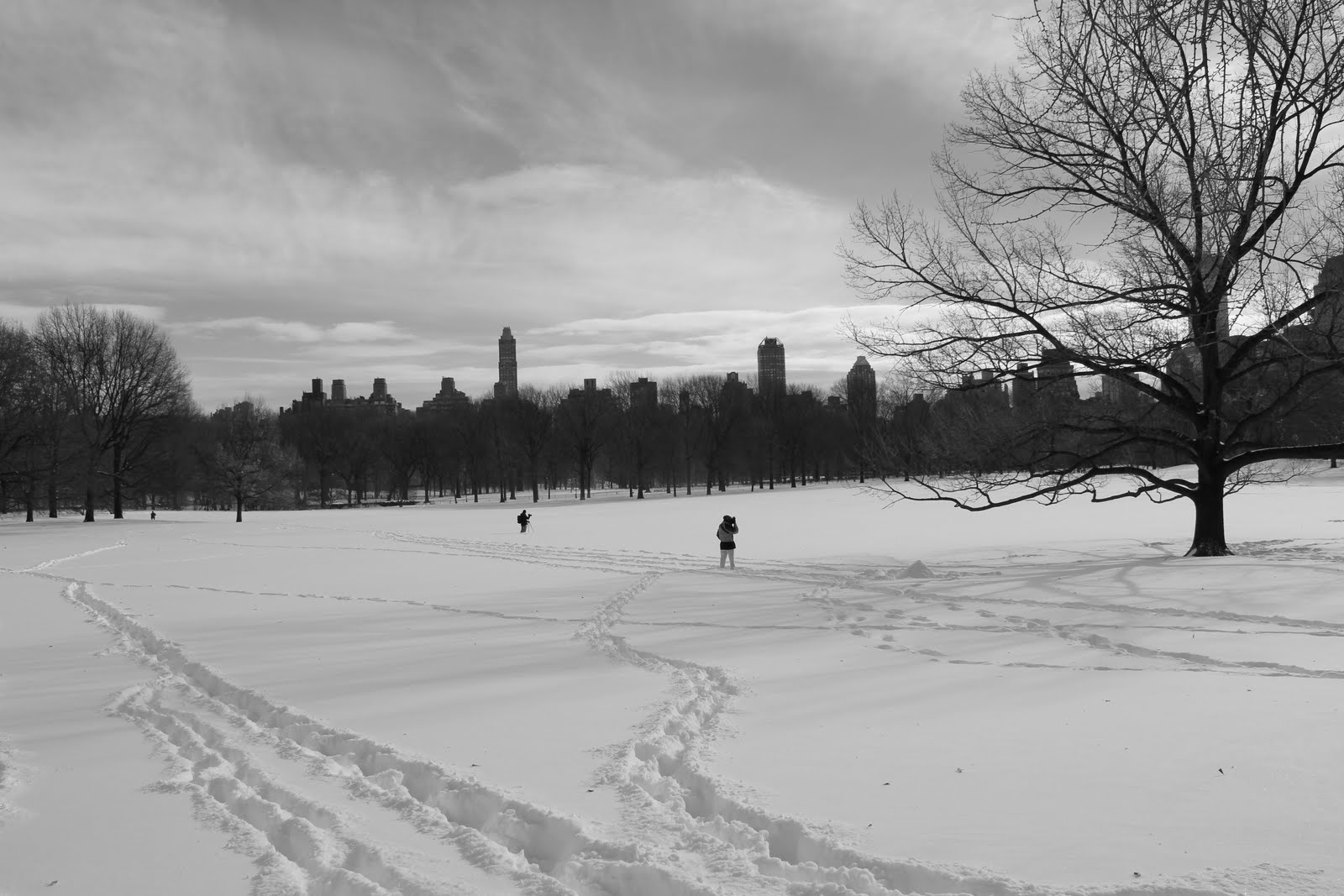 IMG_1325.JPG