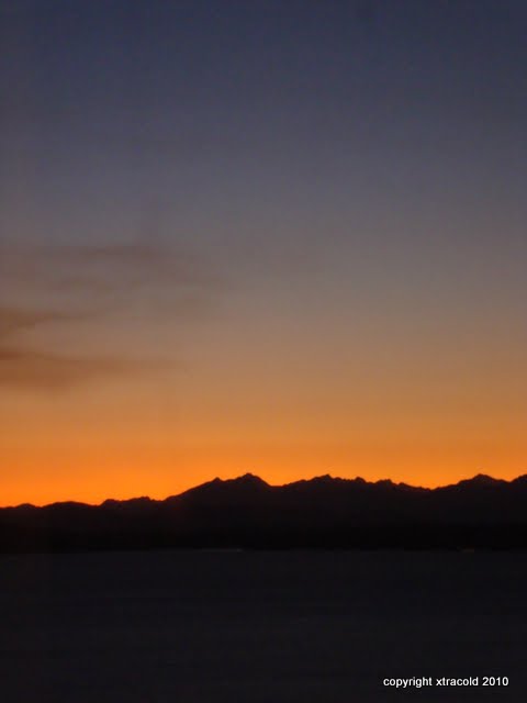 dsc00156.jpg