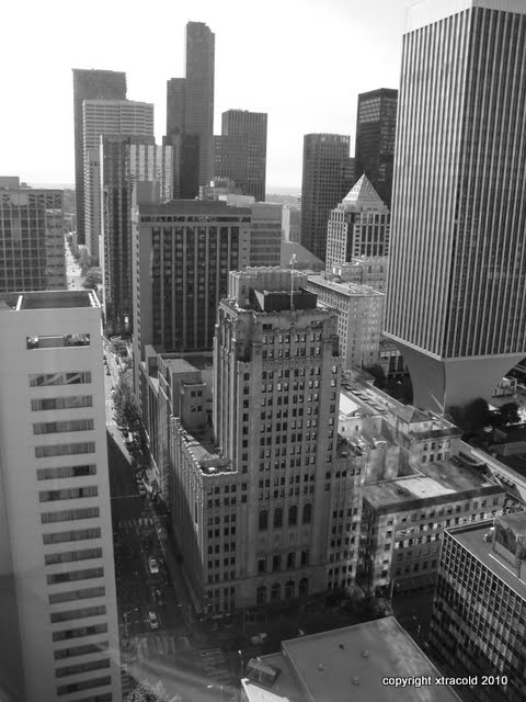 dsc00181.jpg