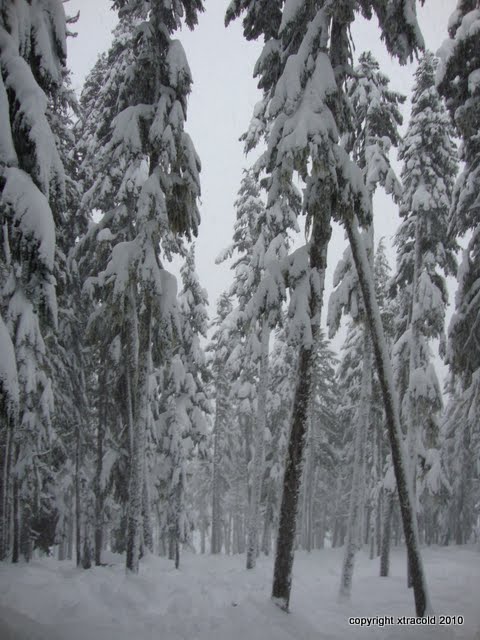 dsc00248.jpg
