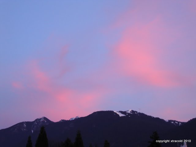 dsc00344.jpg