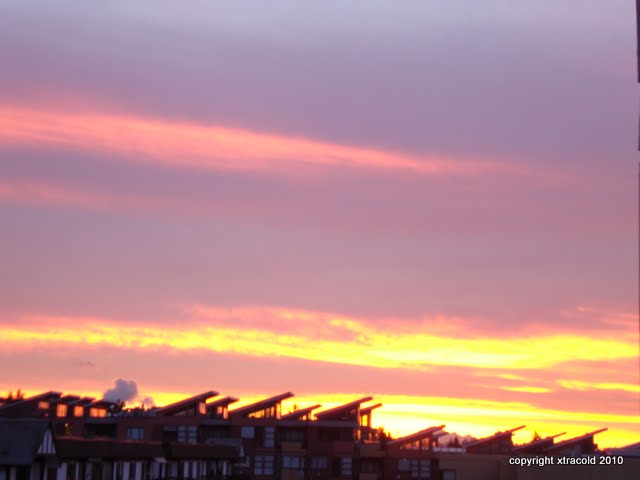 dsc00346.jpg