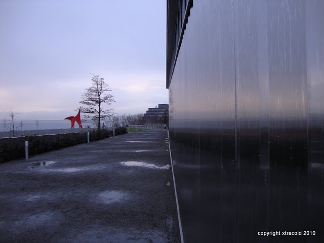 dsc00578.jpg