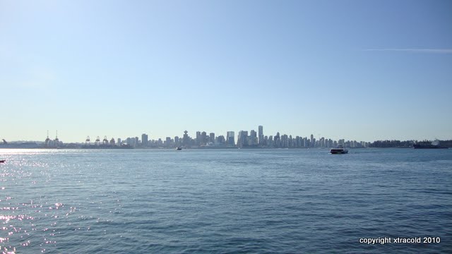 dsc00974.jpg