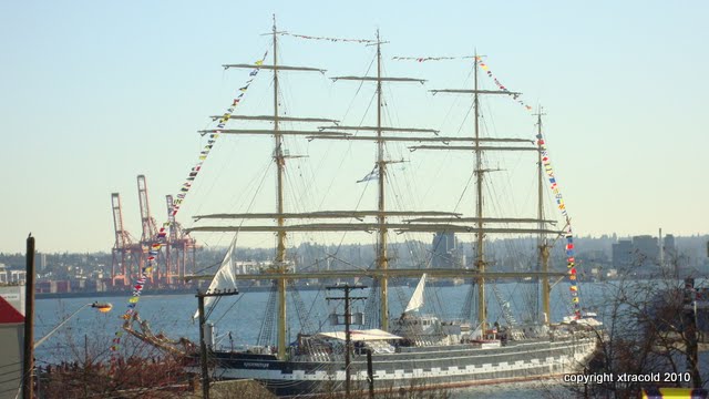 dsc00982.jpg