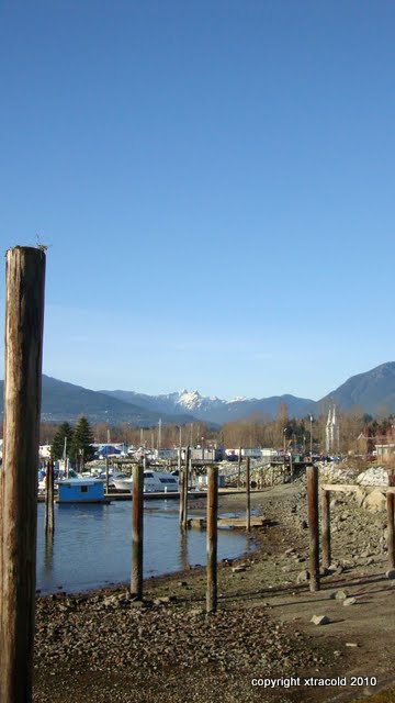 dsc00984.jpg