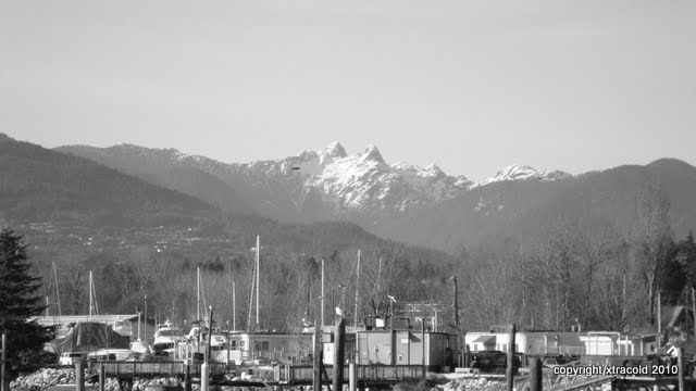 dsc00986.jpg