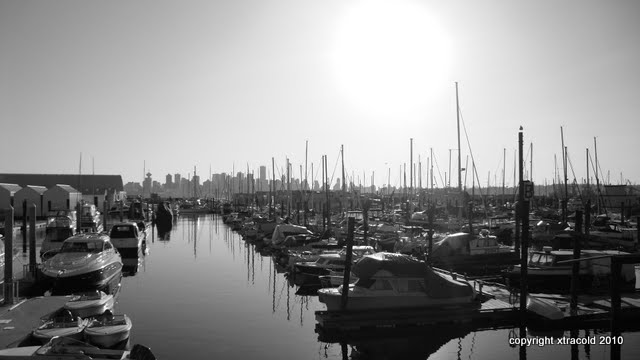 dsc00987.jpg