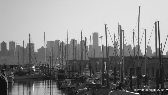dsc00988.jpg
