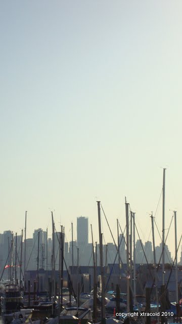 dsc00990.jpg