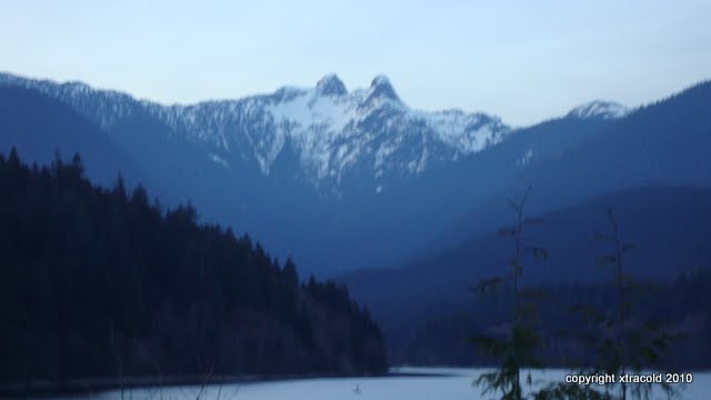 dsc01000.jpg