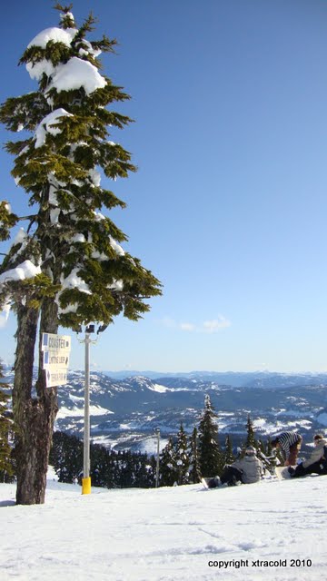 dsc01017.jpg