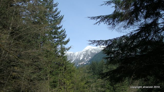 dsc01082.jpg