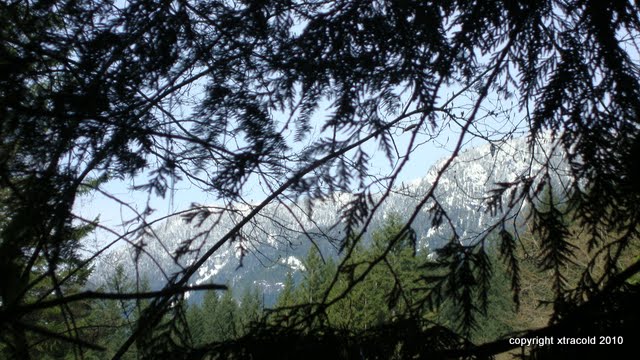 dsc01089.jpg