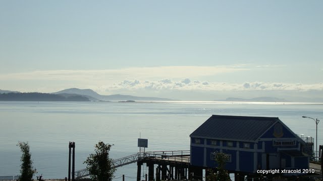dsc01413.jpg