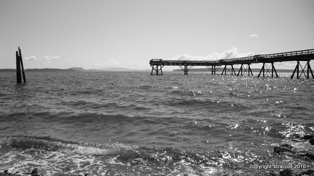 dsc01426.jpg