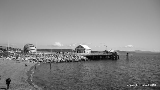 dsc01427.jpg