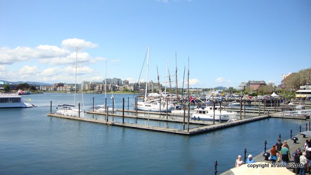 dsc01447.jpg