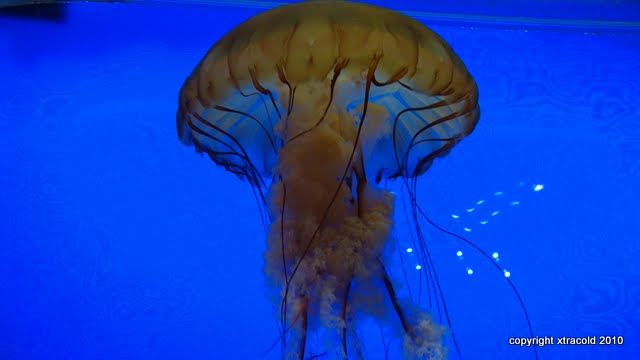 dsc01458.jpg