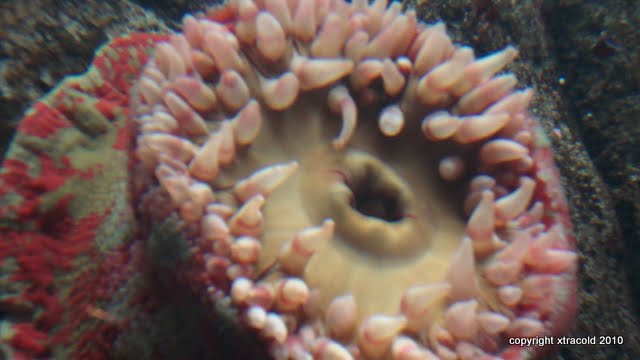 dsc01462.jpg