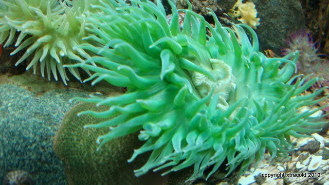 dsc01466.jpg