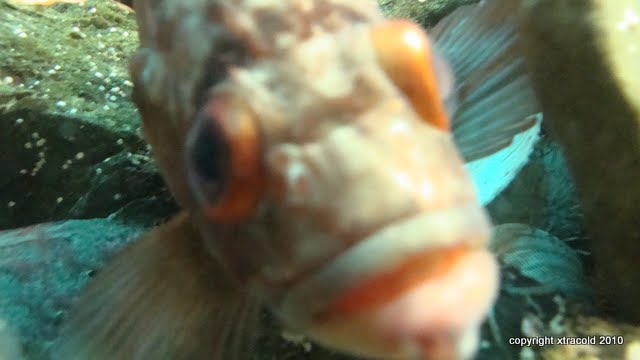 dsc01472.jpg