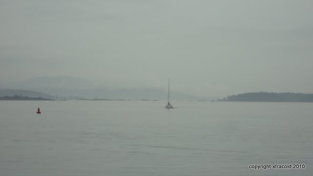 dsc01480.jpg