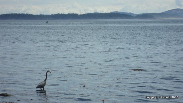 dsc01516.jpg