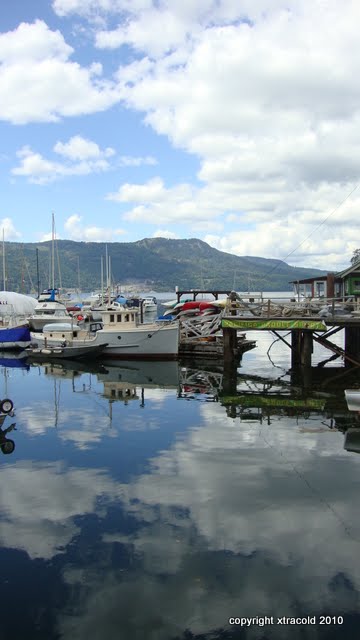 dsc01530.jpg