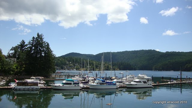 dsc01531.jpg