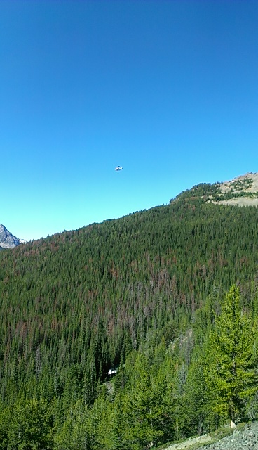 IMAG0202.jpg
