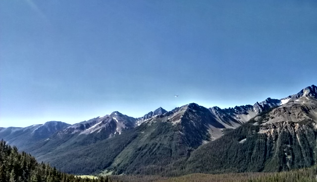 IMAG0204.jpg