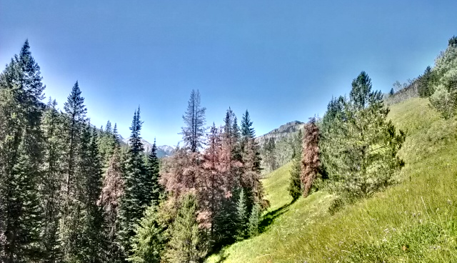 IMAG0221.jpg
