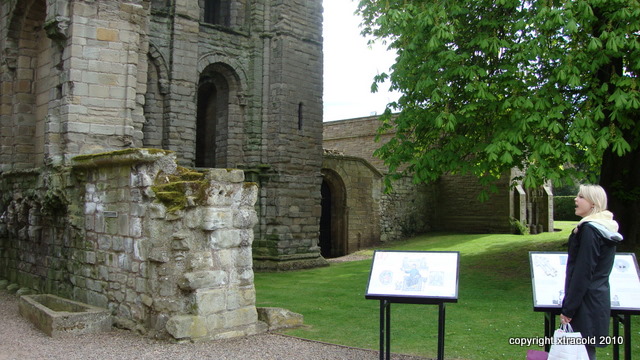 dsc01278.jpg