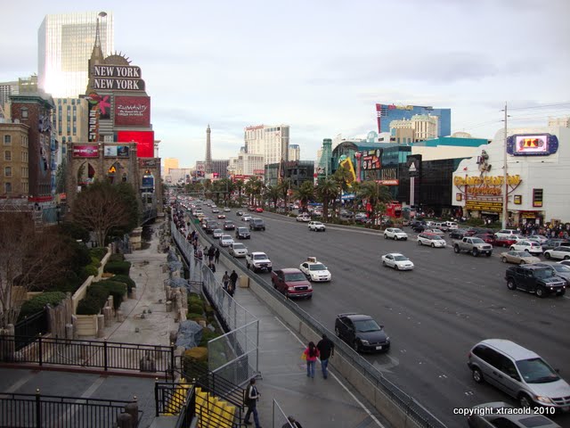 dsc00474.jpg