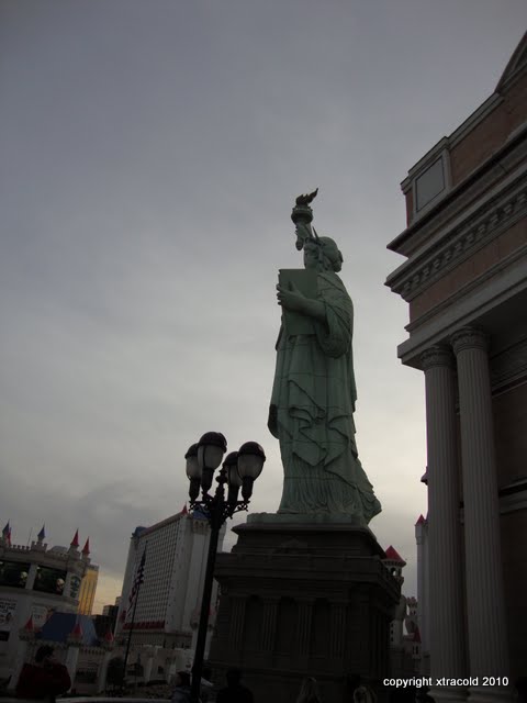 dsc00479.jpg