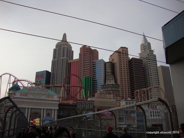 dsc00480.jpg
