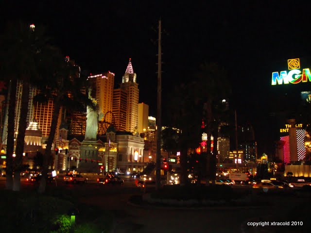 dsc00518.jpg
