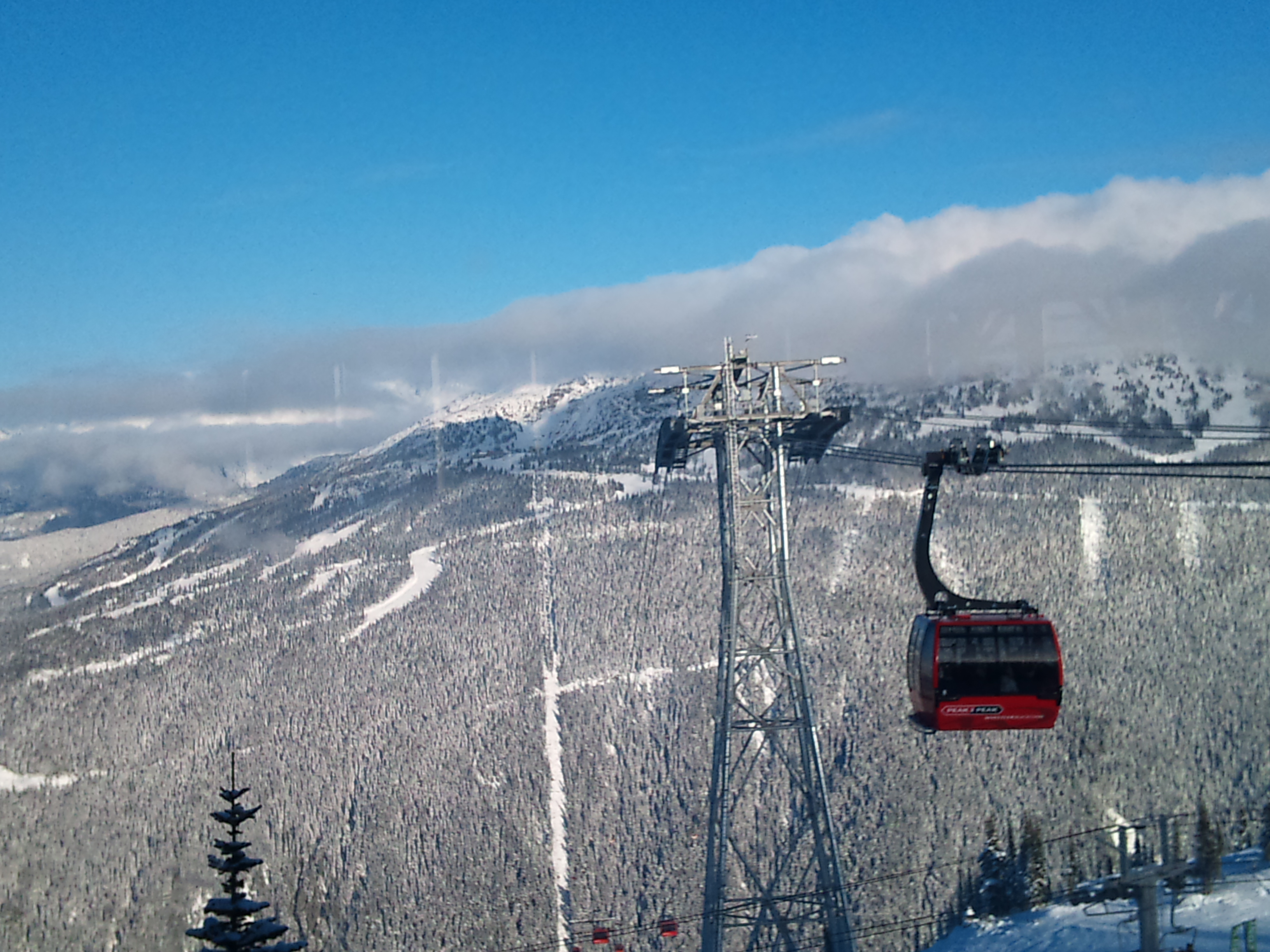 2010-11-28 13.35.39.jpg