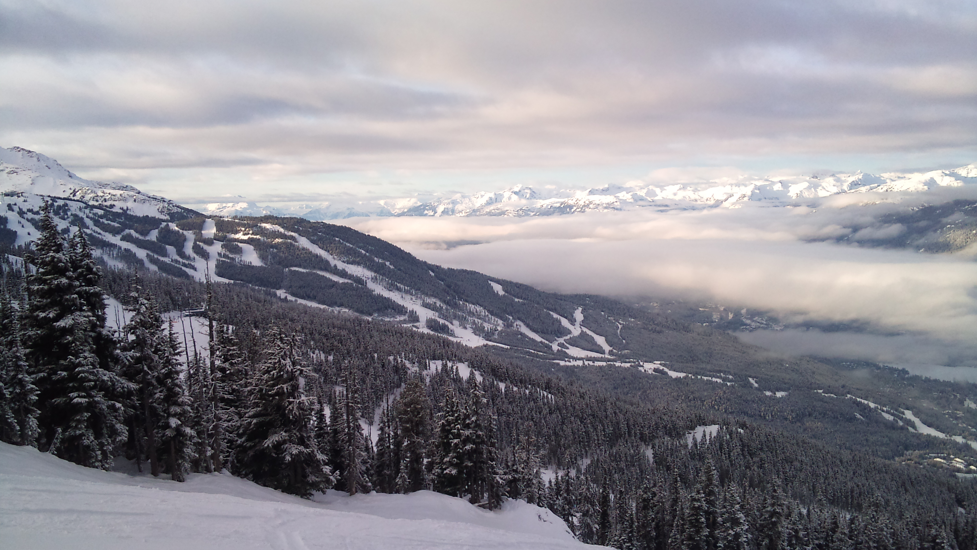 2011-12-15 09.33.50.jpg