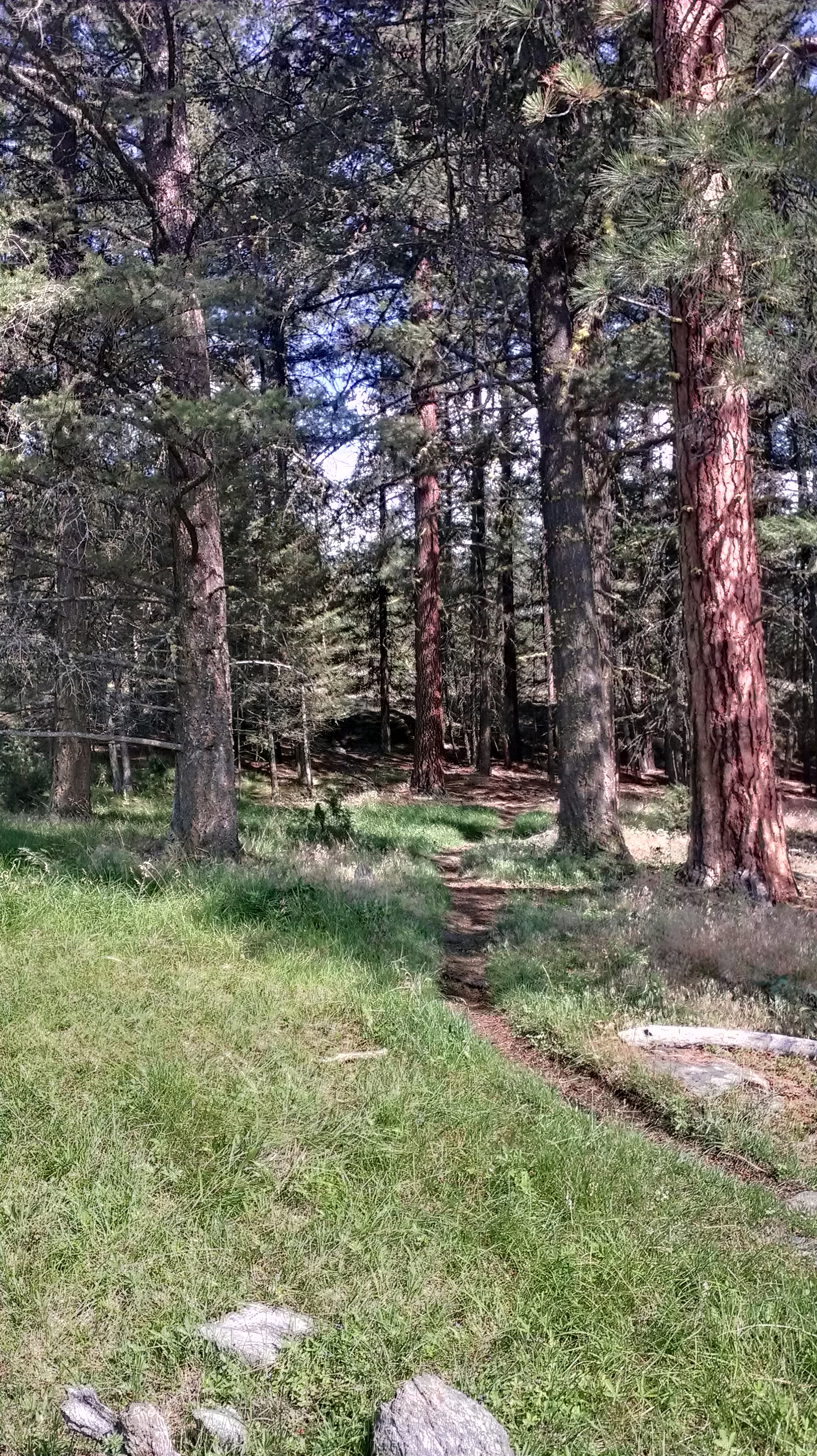 IMAG0136.jpg