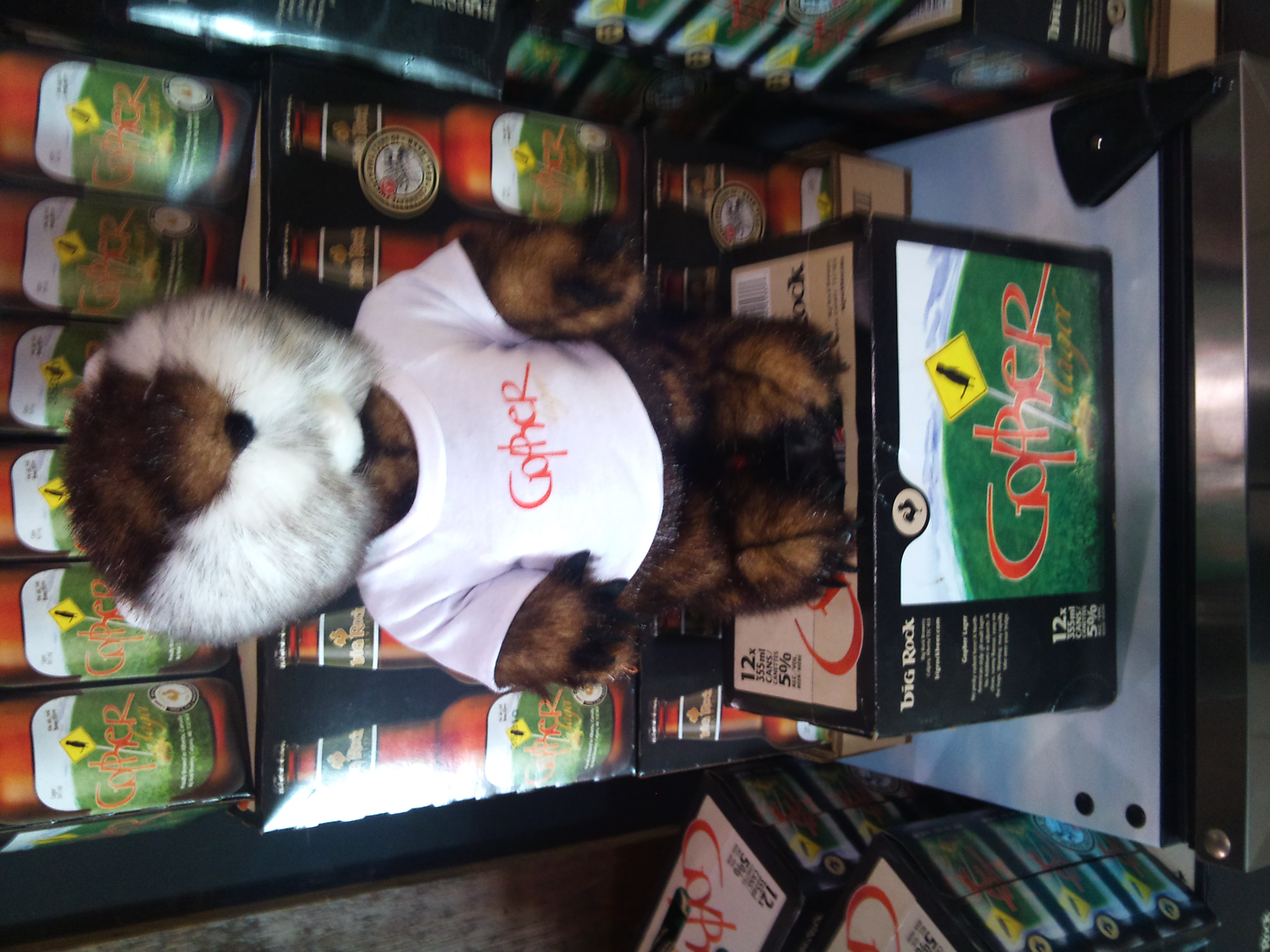 wpid-DSC_0526.jpg