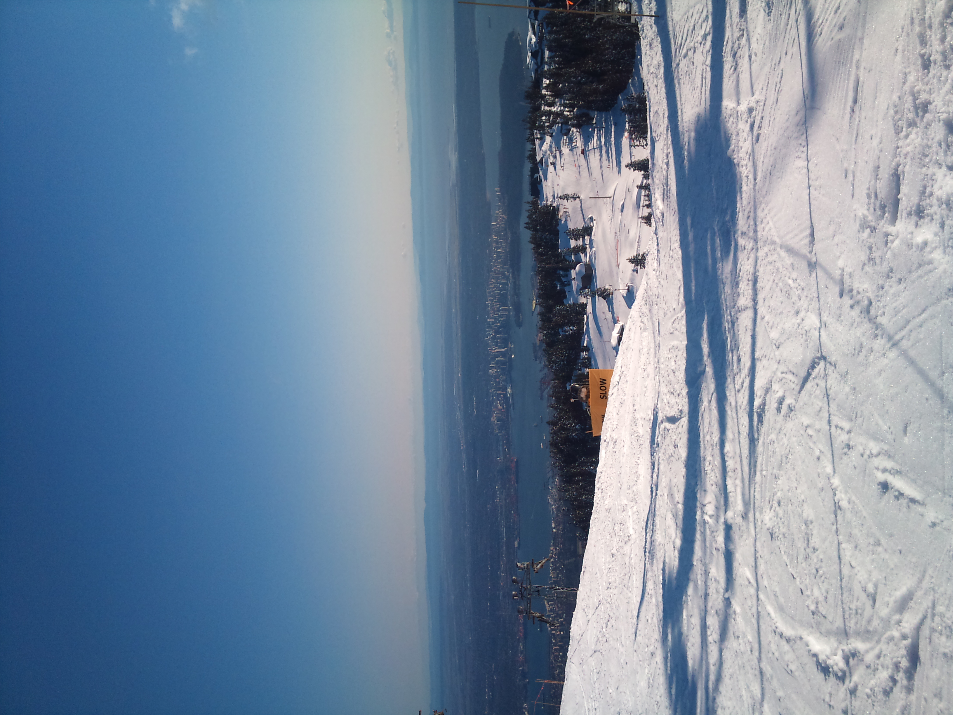 wpid-DSC_1454.jpg